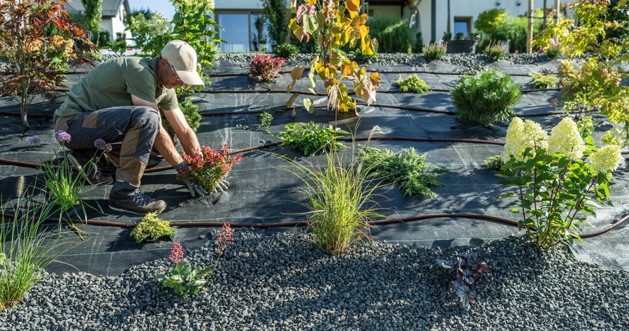 What is the 70/30 rule in gardening?